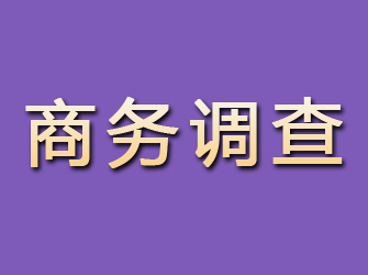 安陆商务调查